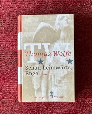 Schau heimwärts, Engel. Eine Geschichte vom begrabenen Leben. Aus dem amerikanischen Englisch übersetzt und umfassend kommentiert von Irma Wehrli