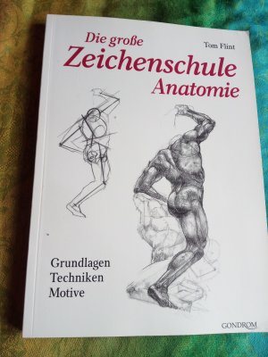 gebrauchtes Buch – Tom Flint – Die grosse Zeichenschule Anatomie