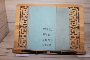 Weil wir jung sind. Erzählungen aus dem Leben der Freien Deutschen Jugend.