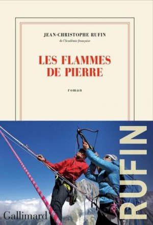 neues Buch – Jean-Christophe Rufin – Les flammes de pierre