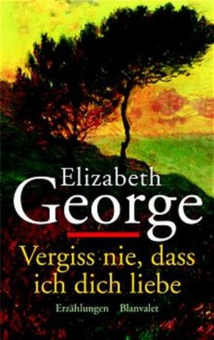 Vergiss nie, dass ich dich liebe : Erzählungen. Elizabeth George. Dt. von Mechtild Sandberg-Ciletti