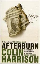 gebrauchtes Buch – Colin Harrison – Afterburn