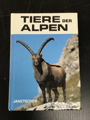 Tiere der Alpen