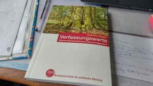 gebrauchtes Buch – Joachim Detjen – Verfassungswerte Welche Werte bestimmen das Grundgesetz?