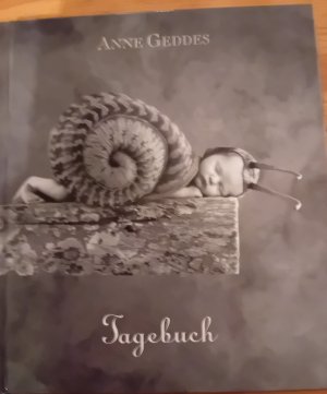 gebrauchtes Buch – Anne Geddes – Tagebuch