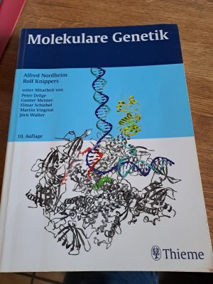 gebrauchtes Buch – Nordheim, Alfred; Knippers – Molekulare Genetik