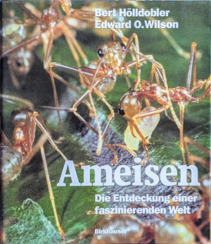 gebrauchtes Buch – Bert Hölldobler; Edward O. Wilson – Ameisen - Die Entdeckung einer faszinierenden Welt