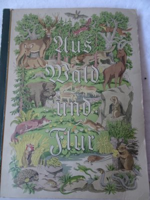 gebrauchte Buecher