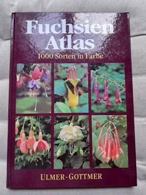 Fuchsien-Atlas. 1000 Sorten in Farbe