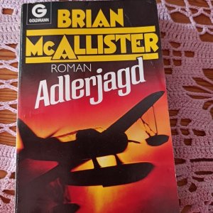 gebrauchtes Buch – Brian McAllister – Adlerjagd