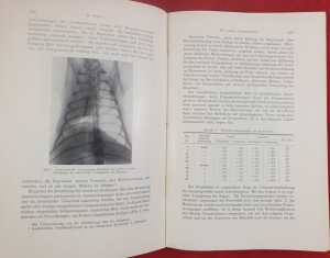 antiquarisches Buch – Dr. Ferdinand Sauerbruch – Archiv für klinische Chirurgie - Kongressorgan der Deutschen Gesellschaft für Chirurgie - 167. Band