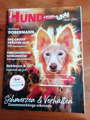 gebrauchtes Buch – Der Hund- Ausgabe Juni 2024