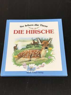 So leben die Tiere - Die Hirsche