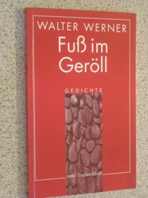 gebrauchtes Buch – walter werner – fuß im geröll