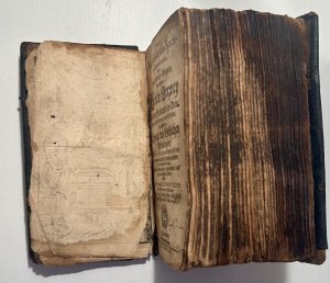 antiquarisches Buch – Sigismund Scherertz – Fuga Melancholiae cum Speculo Tentationum S. Oder: Zwey Geistreiche Büchlein : Das Erste: Seelen-Artzney ... Das Ander: Spiegel der Geistlichen Anfechtungen