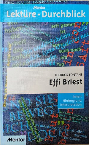 gebrauchtes Buch – Alexander Geist – Theodor Fontane: Effi Briest