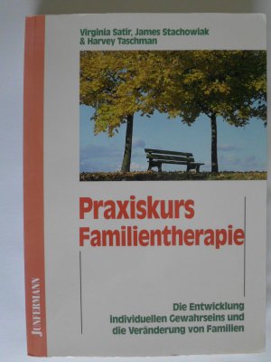 gebrauchtes Buch – Satir, Virginia; Stachowiak – Praxiskurs Familientherapie