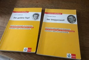 gebrauchtes Buch – Monika Fellenberg – Klett Lektürehilfen Hermann Hesse, Der Steppenwolf - für Oberstufe und Abitur