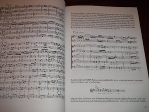 gebrauchtes Buch – Helmuth Rilling – Johann Sebastian Bachs h-Moll-Messe (HE 24.016)