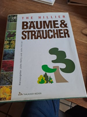 Bäume & Sträucher