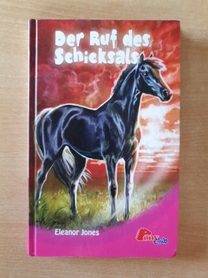 gebrauchtes Buch – Eleanor Jones – Der Ruf des Schicksals