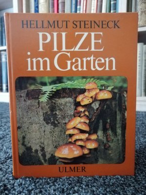 Pilze im Garten