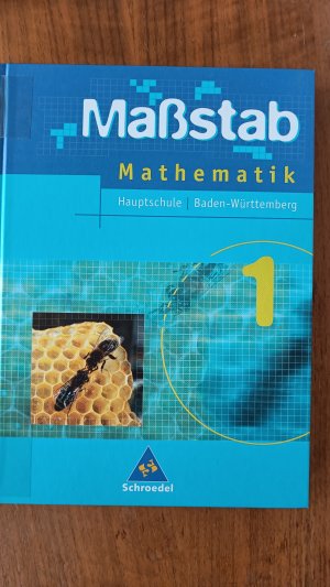 gebrauchtes Buch – herausgegeben von Max Schröder  – Maßstab - Mathematik Hauptschule