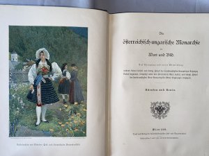 antiquarisches Buch – Kronprinz Erzherzog Rudolf – Die österreichisch-ungarische Monarchie in Wort und Bild. 24 BÄNDE (komplett).