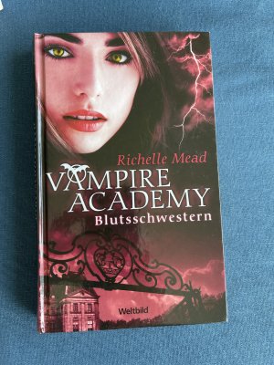 gebrauchtes Buch – Richelle Mead – Vampire Academy