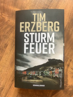 gebrauchtes Buch – Tim Erzberg – Sturmfeuer