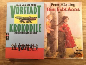 gebrauchtes Buch – Peter Härtling – Ben liebt Anna