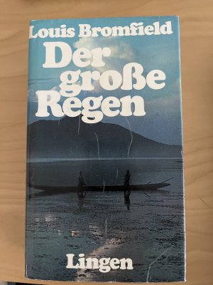 Der große Regen - Roman