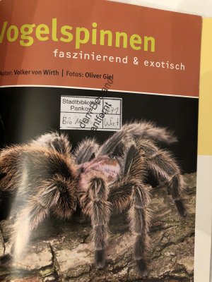 gebrauchtes Buch – Wirth, Volker von – Vogelspinnen faszinierend & exotisch