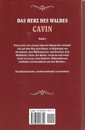 gebrauchtes Buch – Wolfgang Hohlbein – Cavin