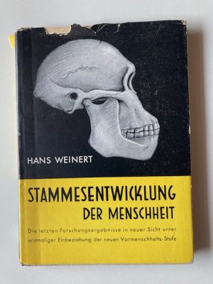 Stammesentwicklung der Menschheit