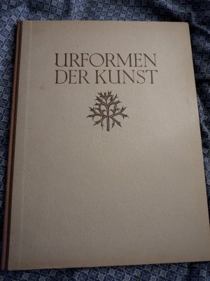 Urformen der Kunst - Photographische Pflanzenbilder