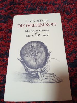 gebrauchtes Buch – Fischer, Ernst P – Die Welt im Kopf