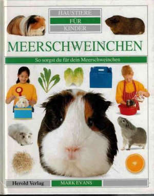 gebrauchtes Buch – Mark Evans – Haustiere für Kinder. Meerschweinchen - So sogst du für dein Meerscheichen