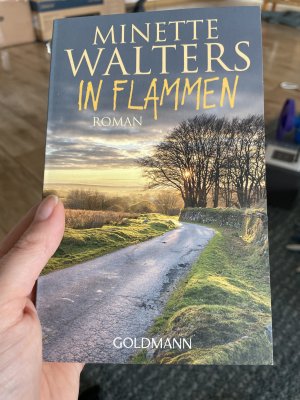 gebrauchtes Buch – Minette Walters – In Flammen