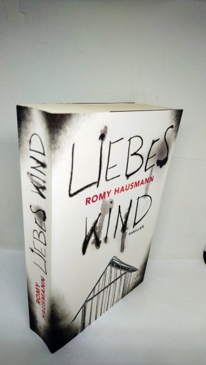 gebrauchtes Buch – Hausmann, Romy – Liebes Kind