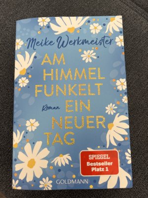 gebrauchtes Buch – Meike Werkmeister – Am Himmel funkelt ein neuer Tag