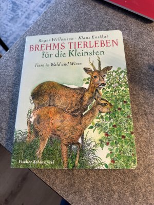 gebrauchtes Buch – Roger Willemsen  – Brehms Tierleben für die Kleinsten - Tiere in Wald und Wiese