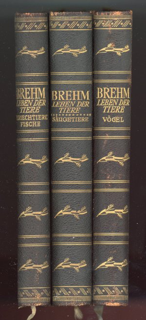 Das Leben der Tiere ( Vögel, Säugetiere, Kriechtiere und Fische