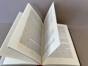 gebrauchtes Buch – Andreas Englisch – Der Kämpfer im Vatikan - Papst Franziskus und sein mutiger Weg