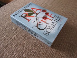 gebrauchtes Buch – Andreas Gruber – Rachesommer