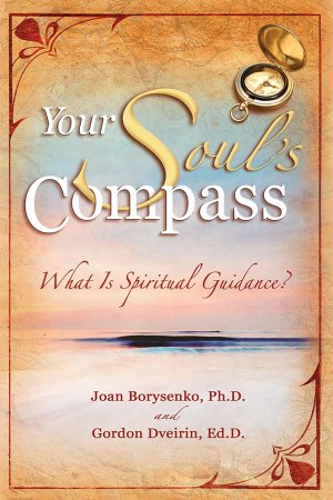 gebrauchtes Buch – Joan Borysenko – Your Soul's Compass: What Is Spiritual Guidance?