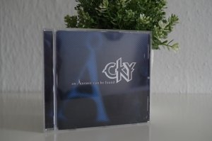 gebrauchter Tonträger – CKY – An Answer Can Be Found