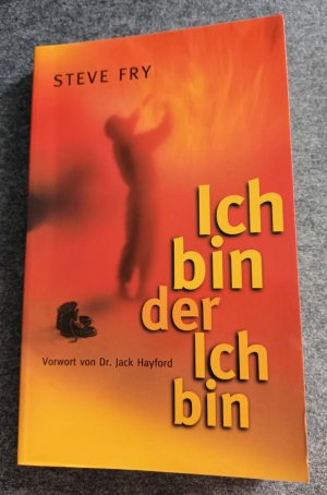 gebrauchtes Buch – Steve Fry – Ich bin der Ich bin