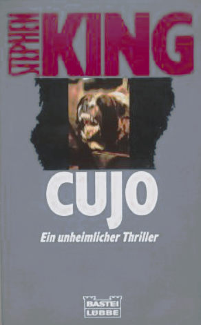 gebrauchtes Buch – Stephen King – Cujo