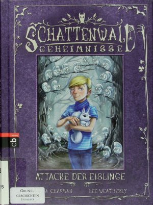 gebrauchtes Buch – Linda Chapman – Attacke der Eislinge.